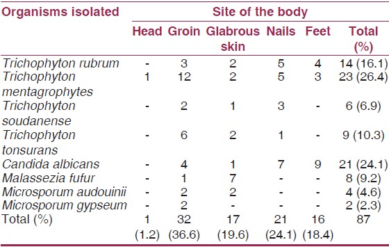 Table 2: Distribution of aetiological agents according to body site 
